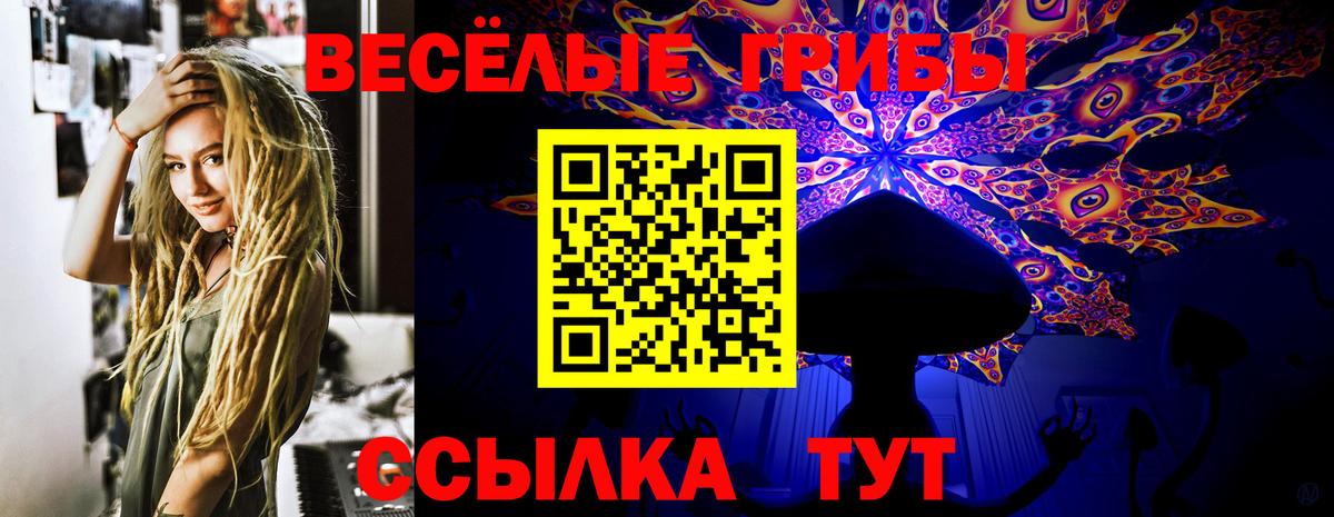 Муром  Псилоцибиновые грибы Magic Shrooms  продажа наркотиков  Вход с VPN 